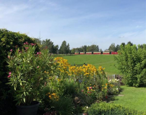 Harzquerbahnblick